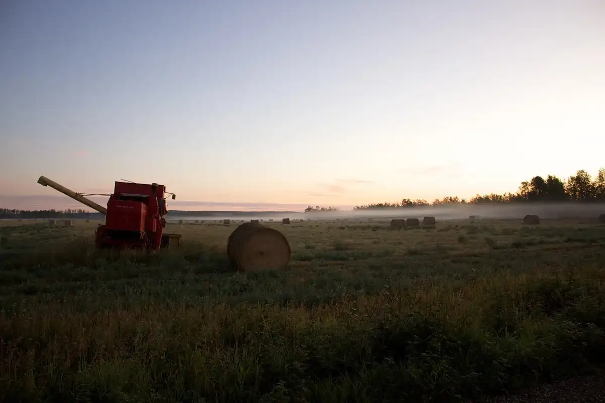 Hay bales and a baler in morning fog, Peace River Regional District